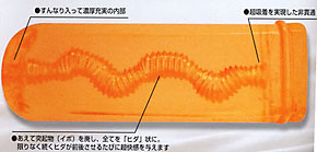 サルヴェーション 断面図